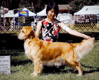 SportRWB-GoldCountry2009